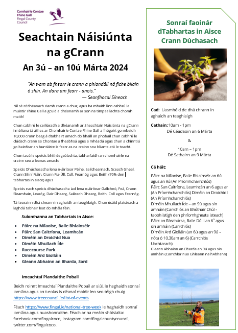 Crann Gaeilge 2024