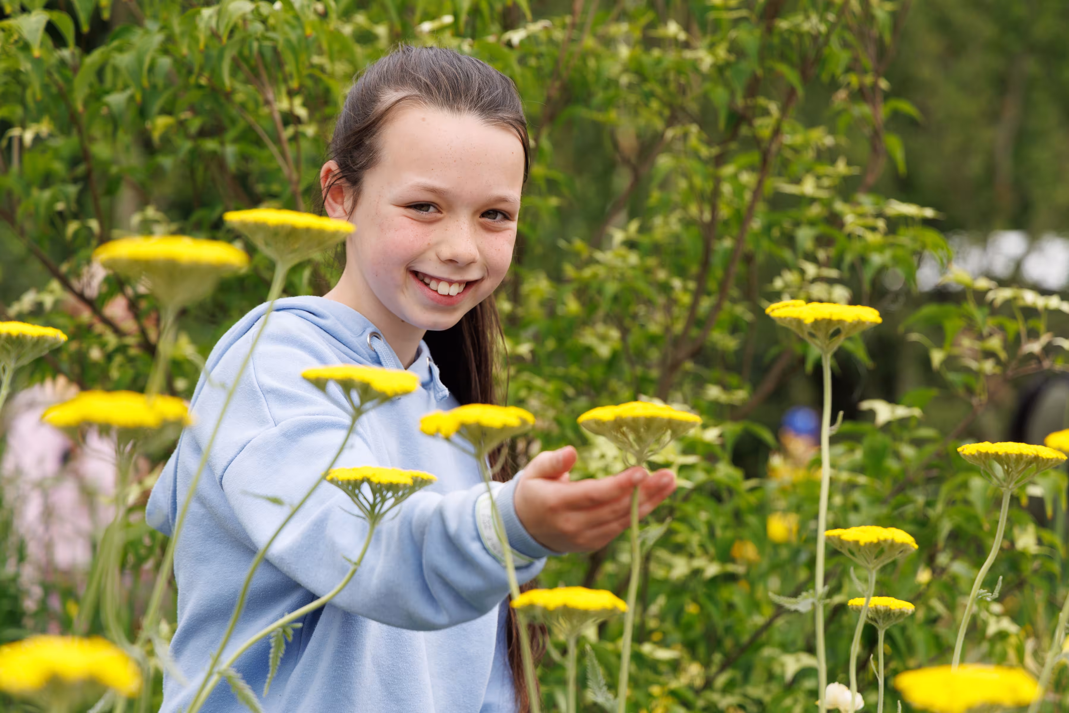Fingal's focus on biodiversity & housing wins four accolades at Bloom