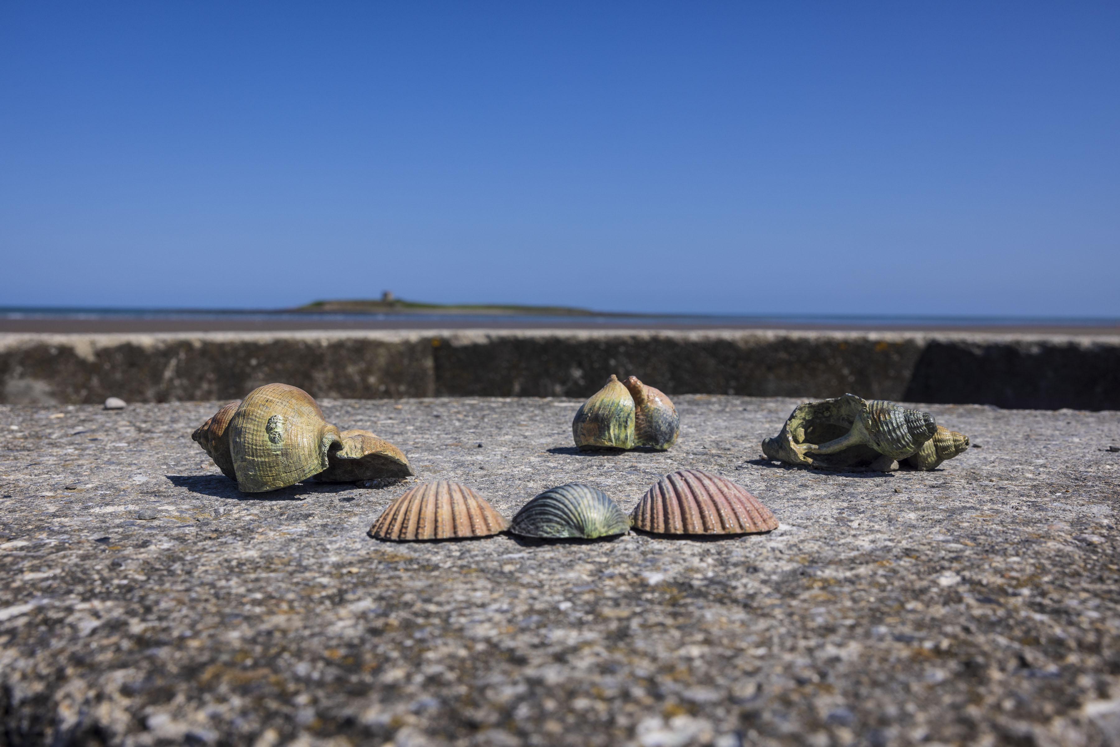 Skerries Art Trail BENNIE Reilly Beachcomber SON4255-093.jpg