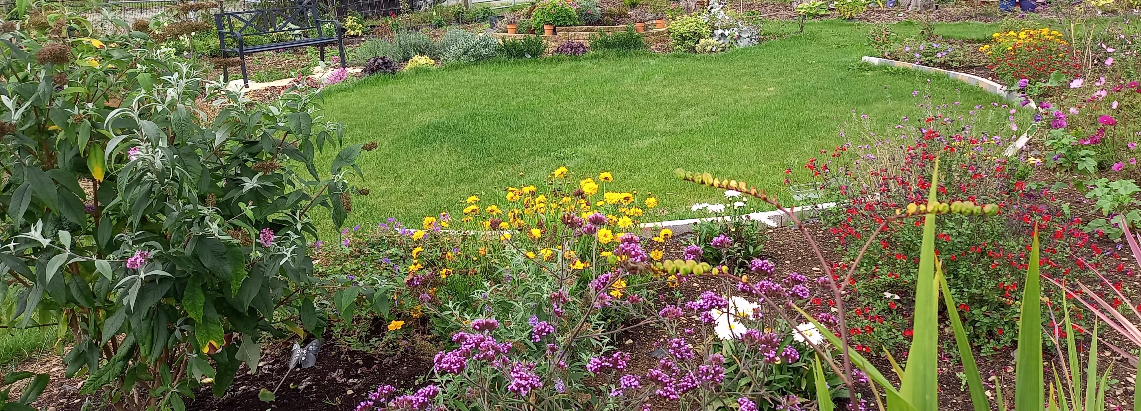 Summer Plant Care Workshop with Marie Hirst