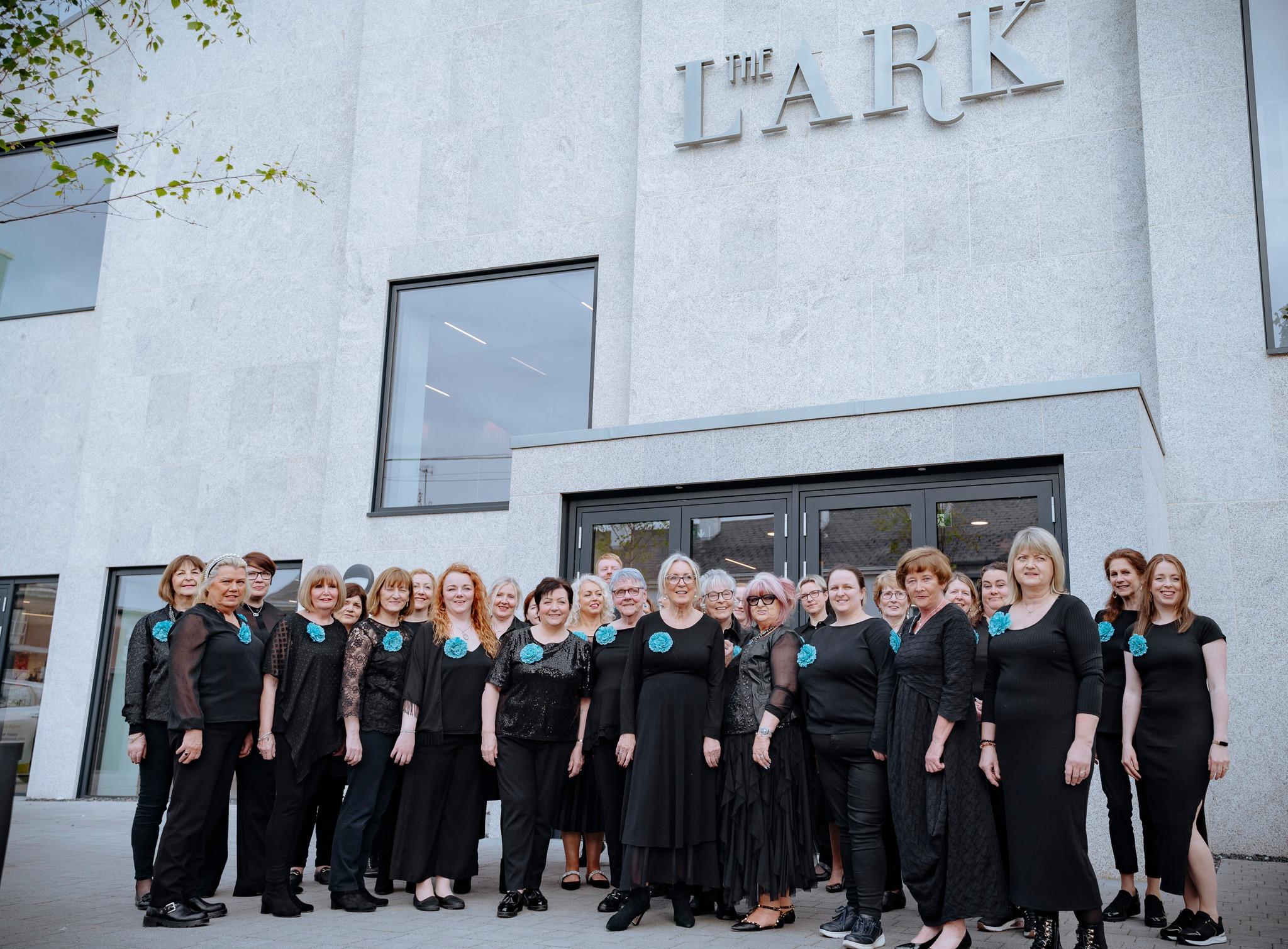 Culture Night in Balbriggan Library