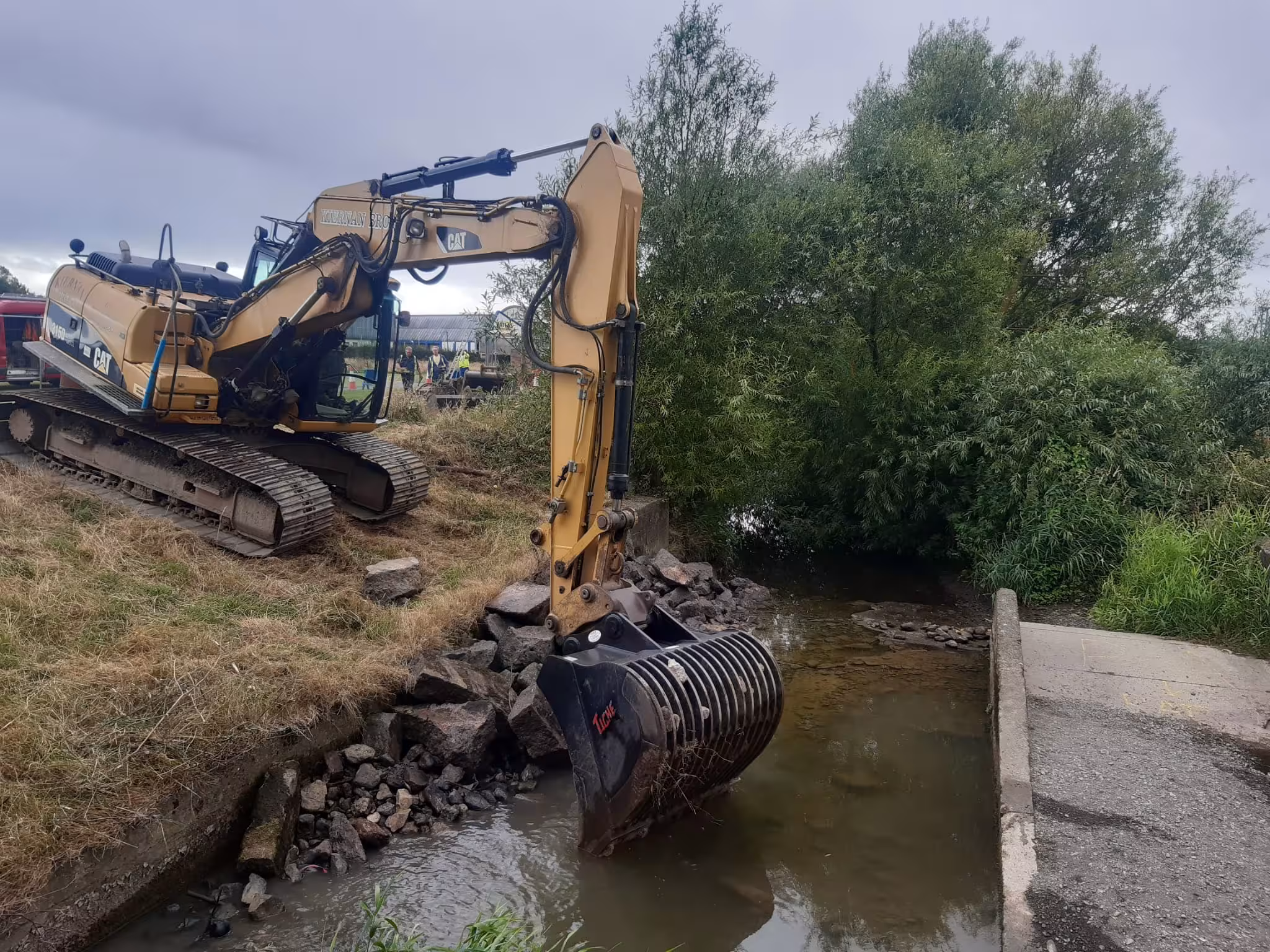 Ward River release fish population