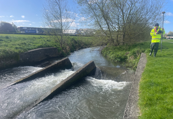 Ward River release fish population