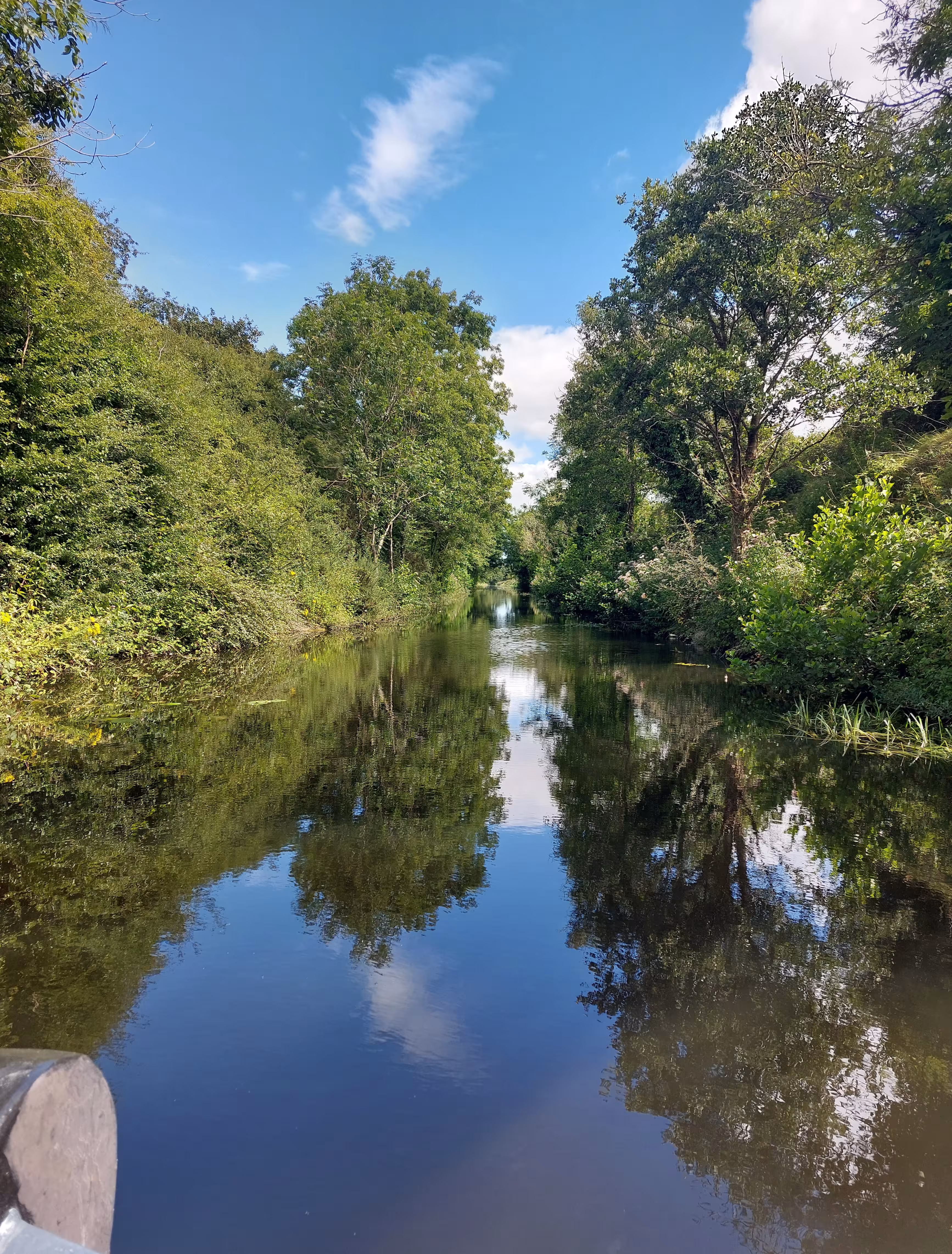 Royal Canal by Janet Ivers