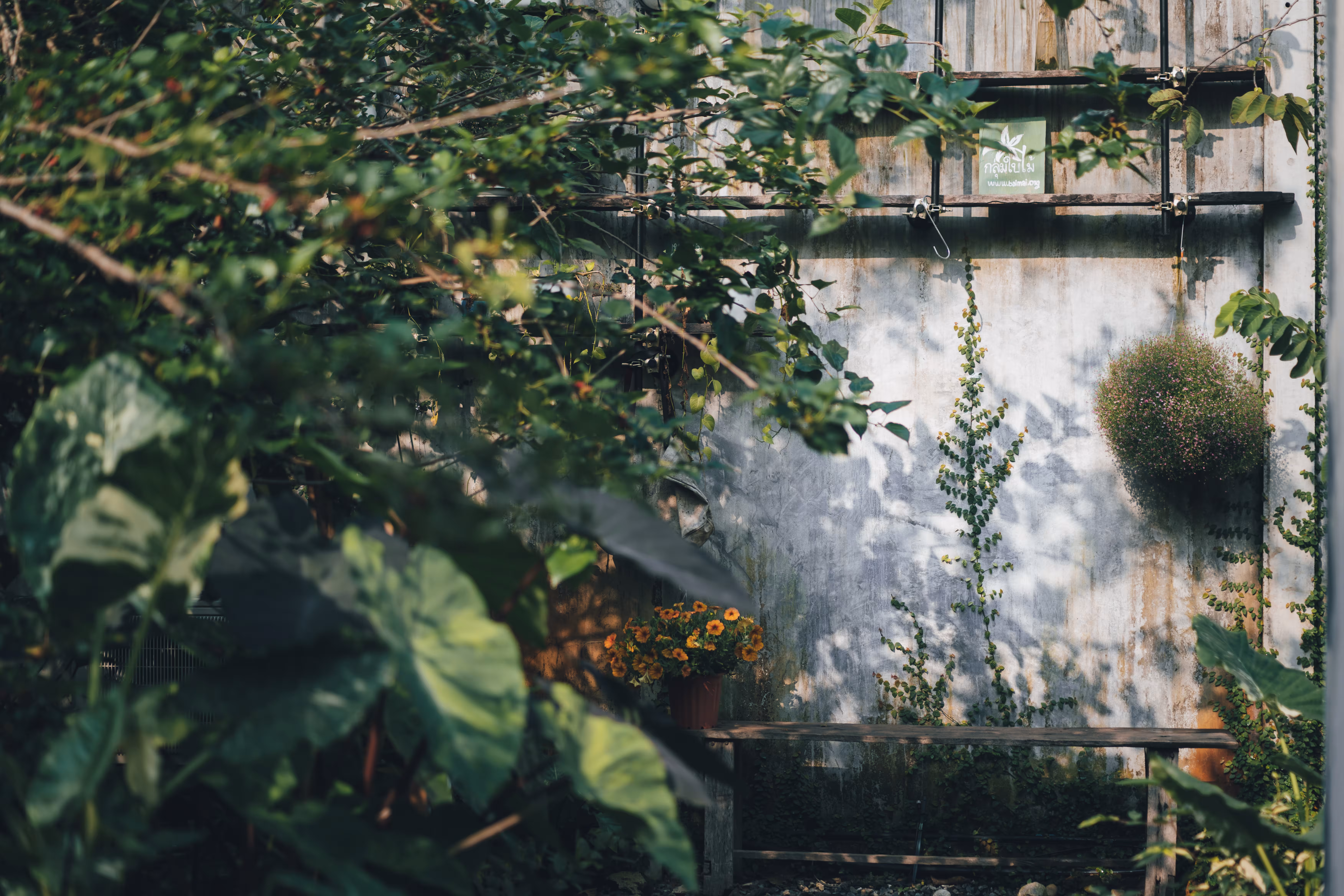 Fingal wants to help transform underused or uncared for areas within a housing area into biodiversity-friendly space