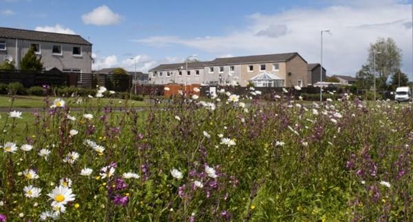 Fingal County Council is looking for resident associations to put forward their estate for a biodiversity makeover. 