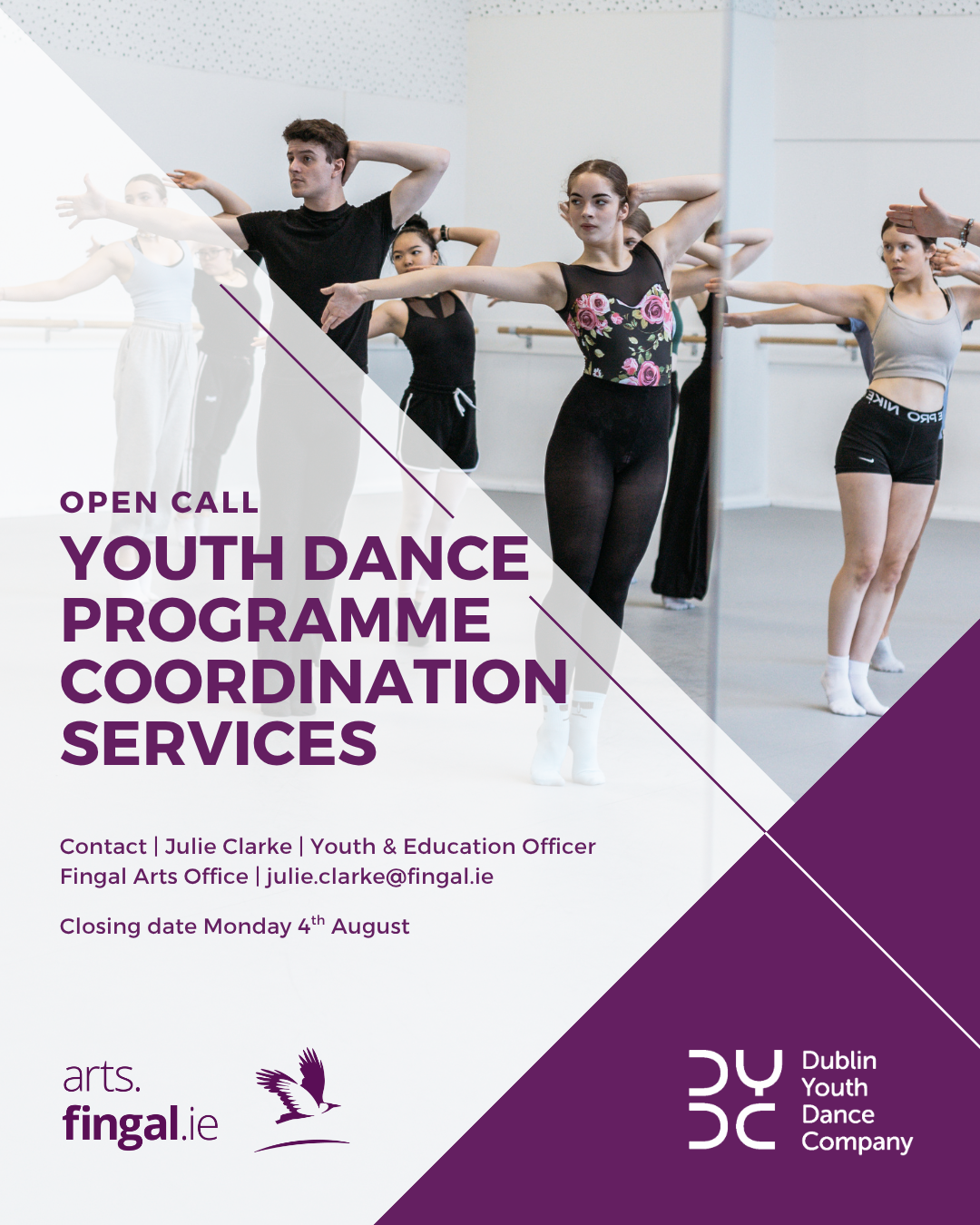 Dance Programme Coordination Services Fingal.png