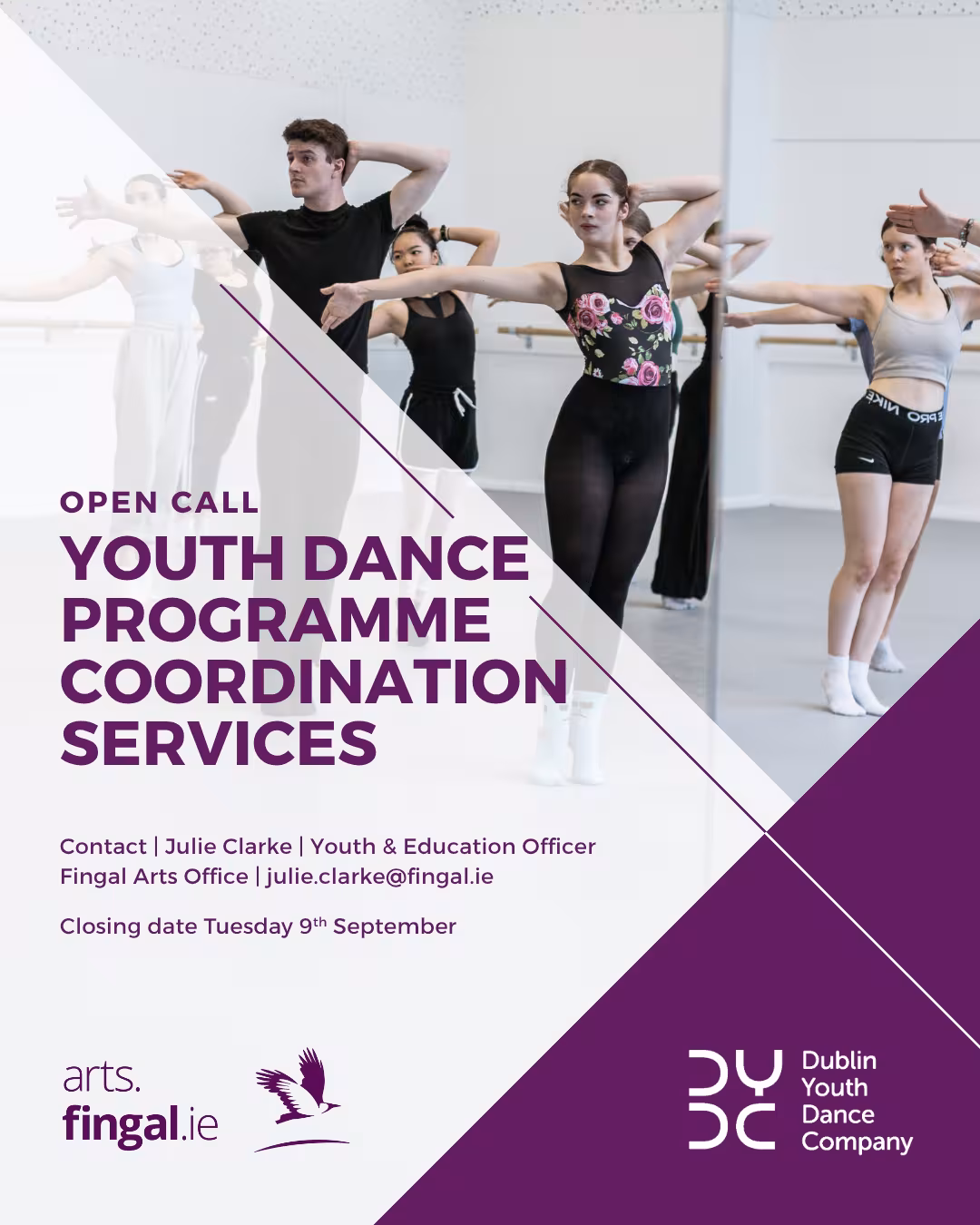 Dance Programme Coordination Services Fingal