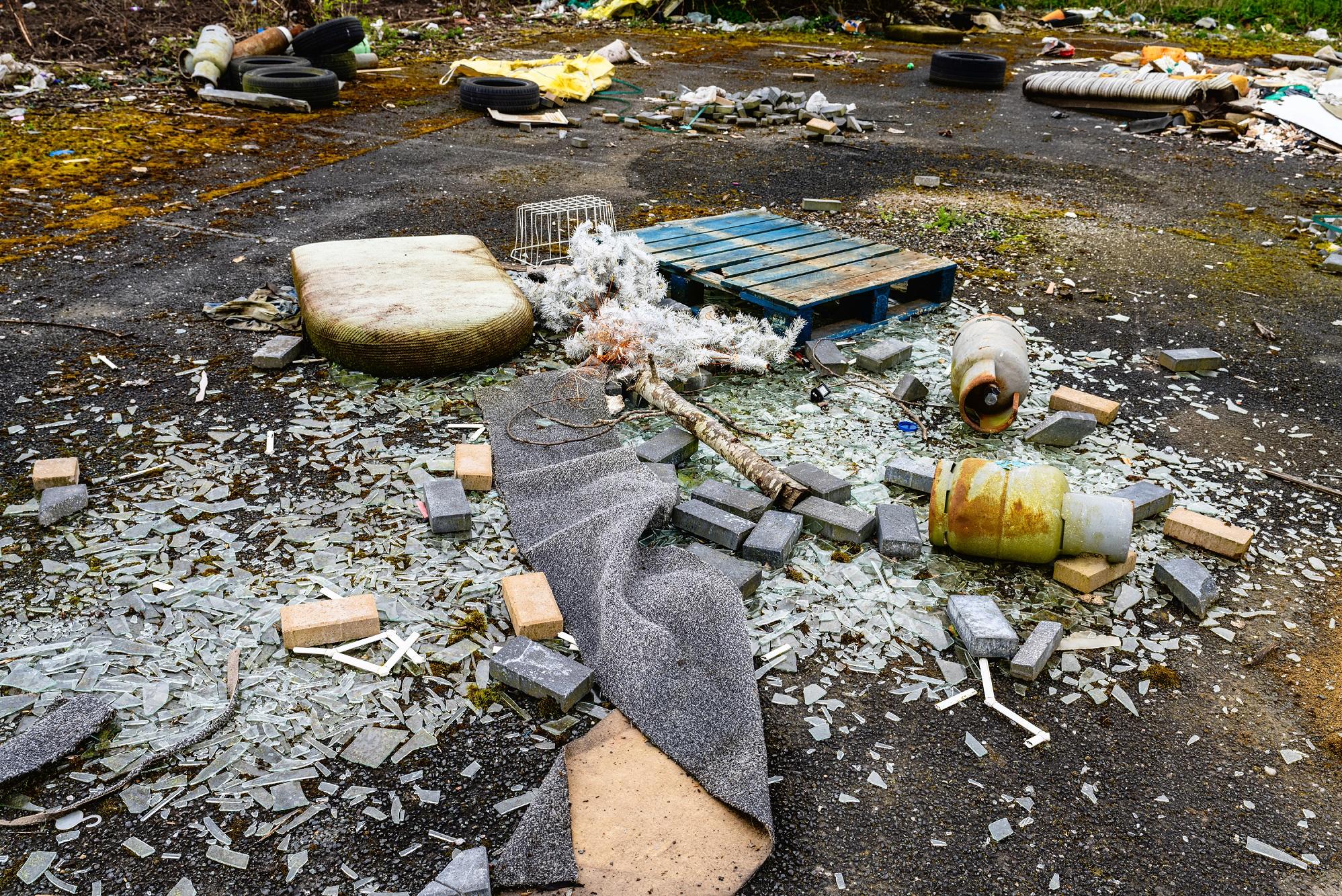 Illegal dumping across Fingal harms the environment, affects public health, and impacts our local communities.