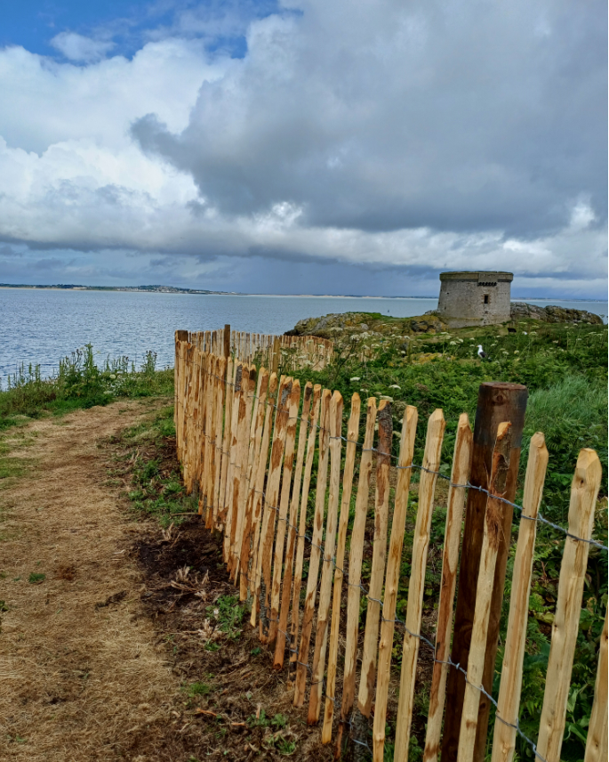 Fencing Ireland's Eye