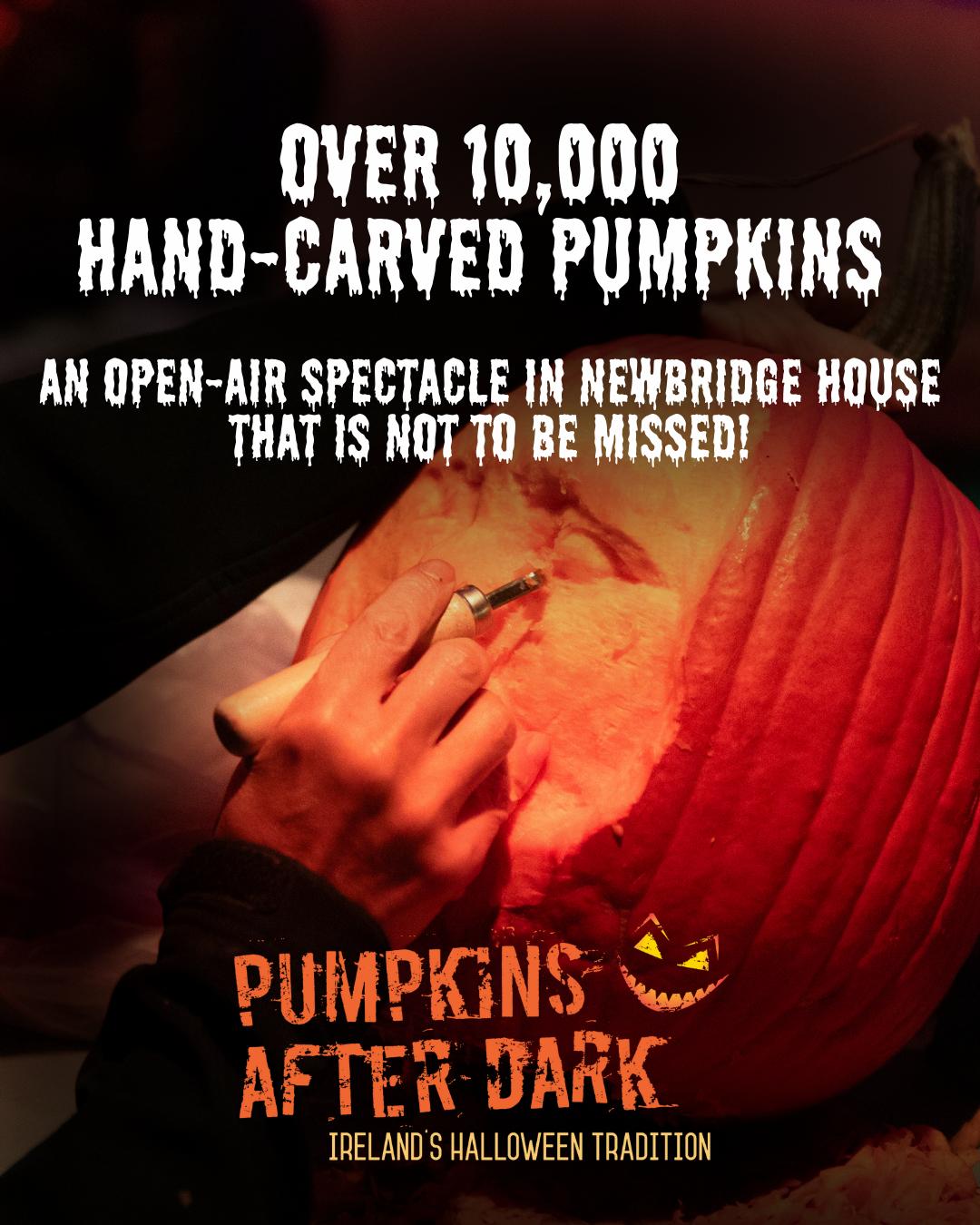 Pumpkins after dark
