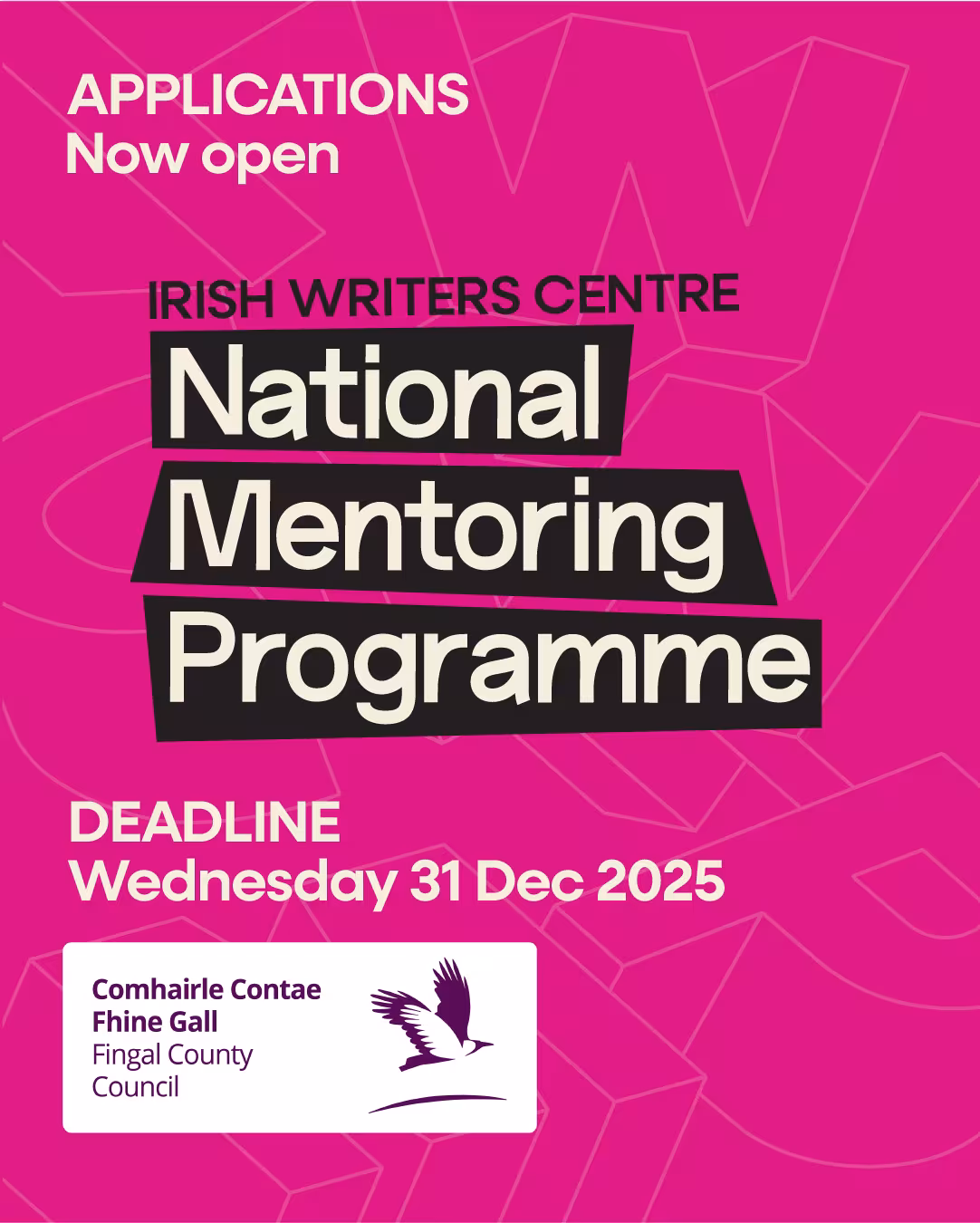 national mentoring programme
