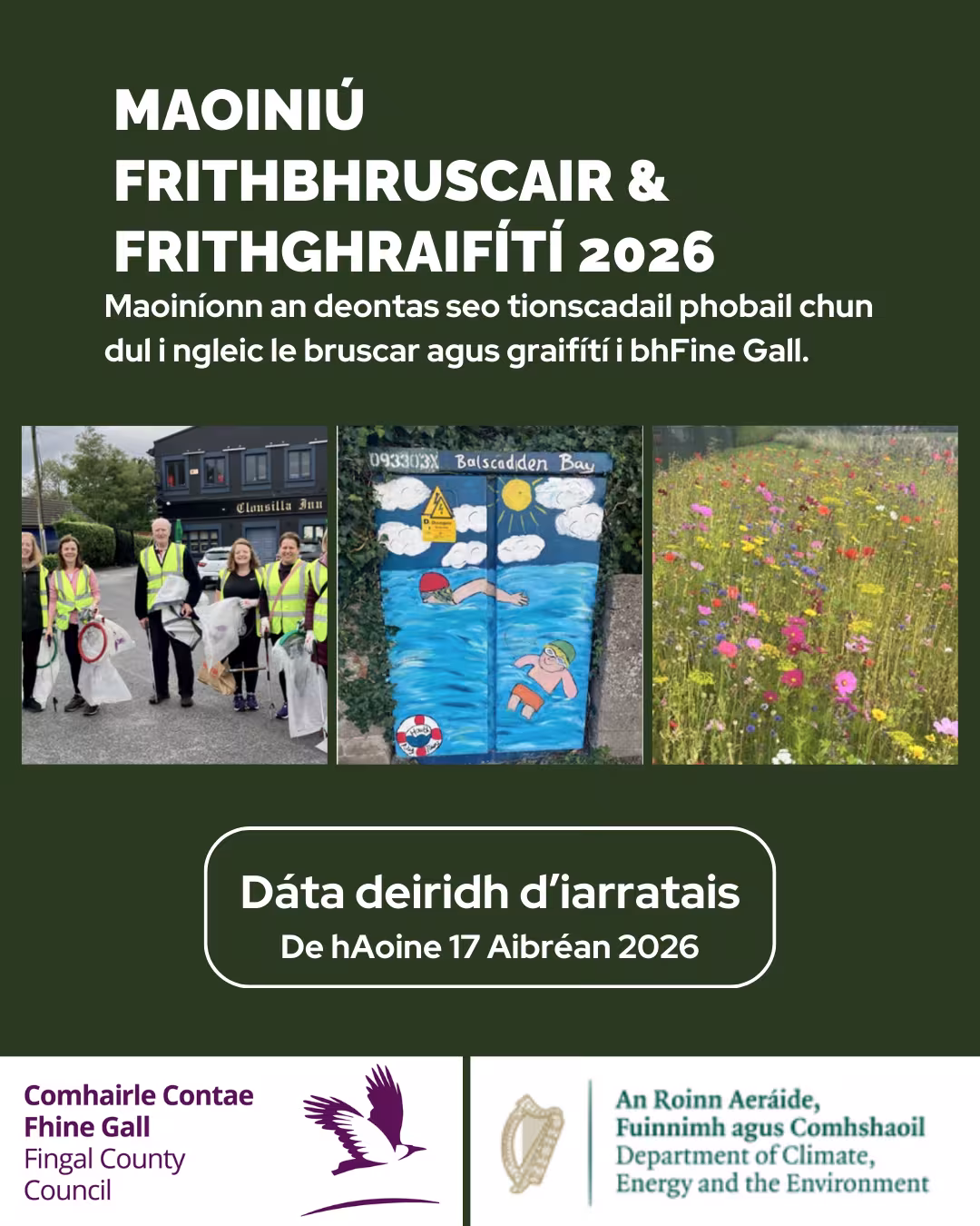 ALAG 2026 image 2 Irish.png