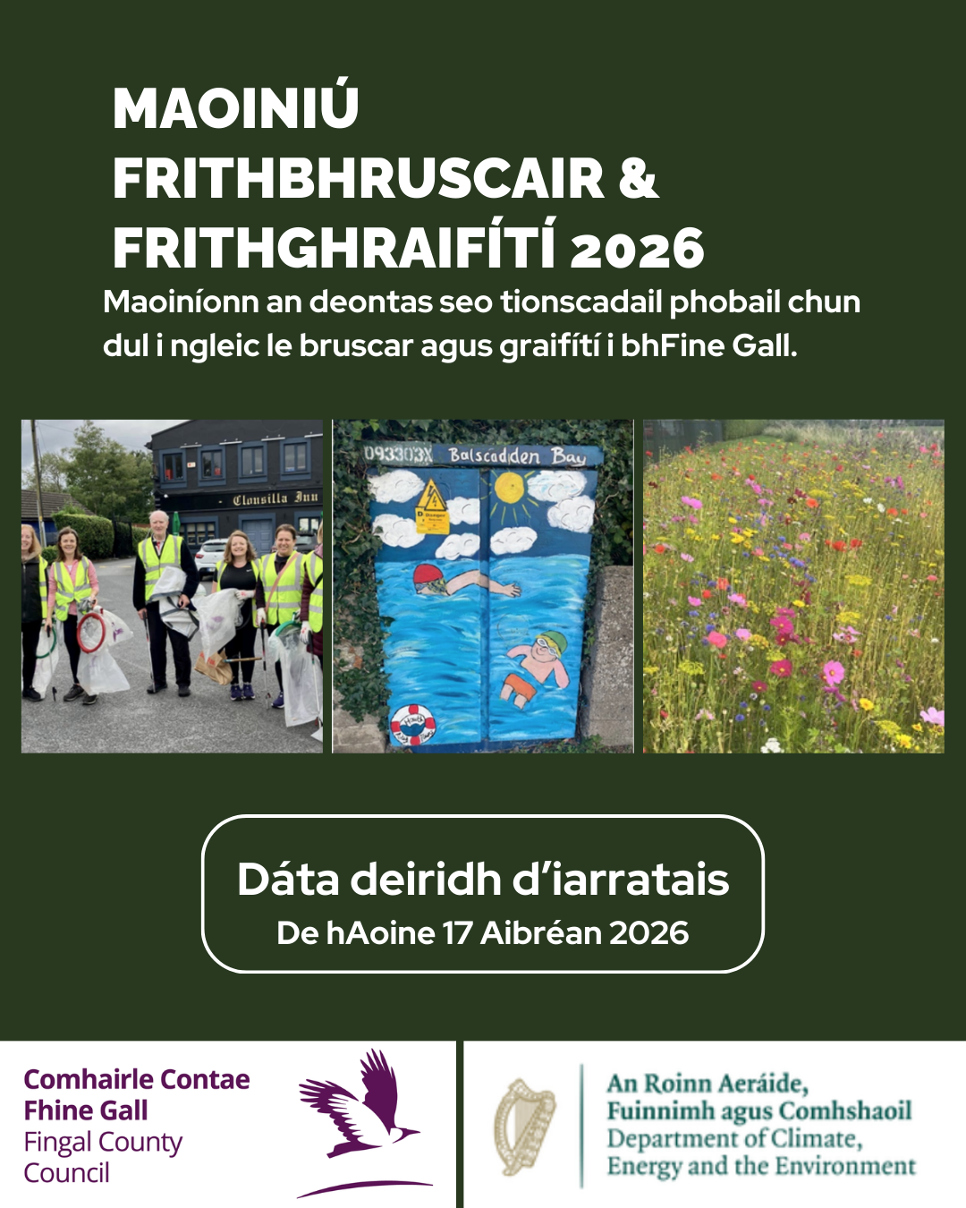 ALAG 2026 image 2 Irish.png