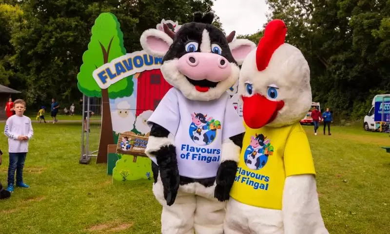 Flavours of Fingal
