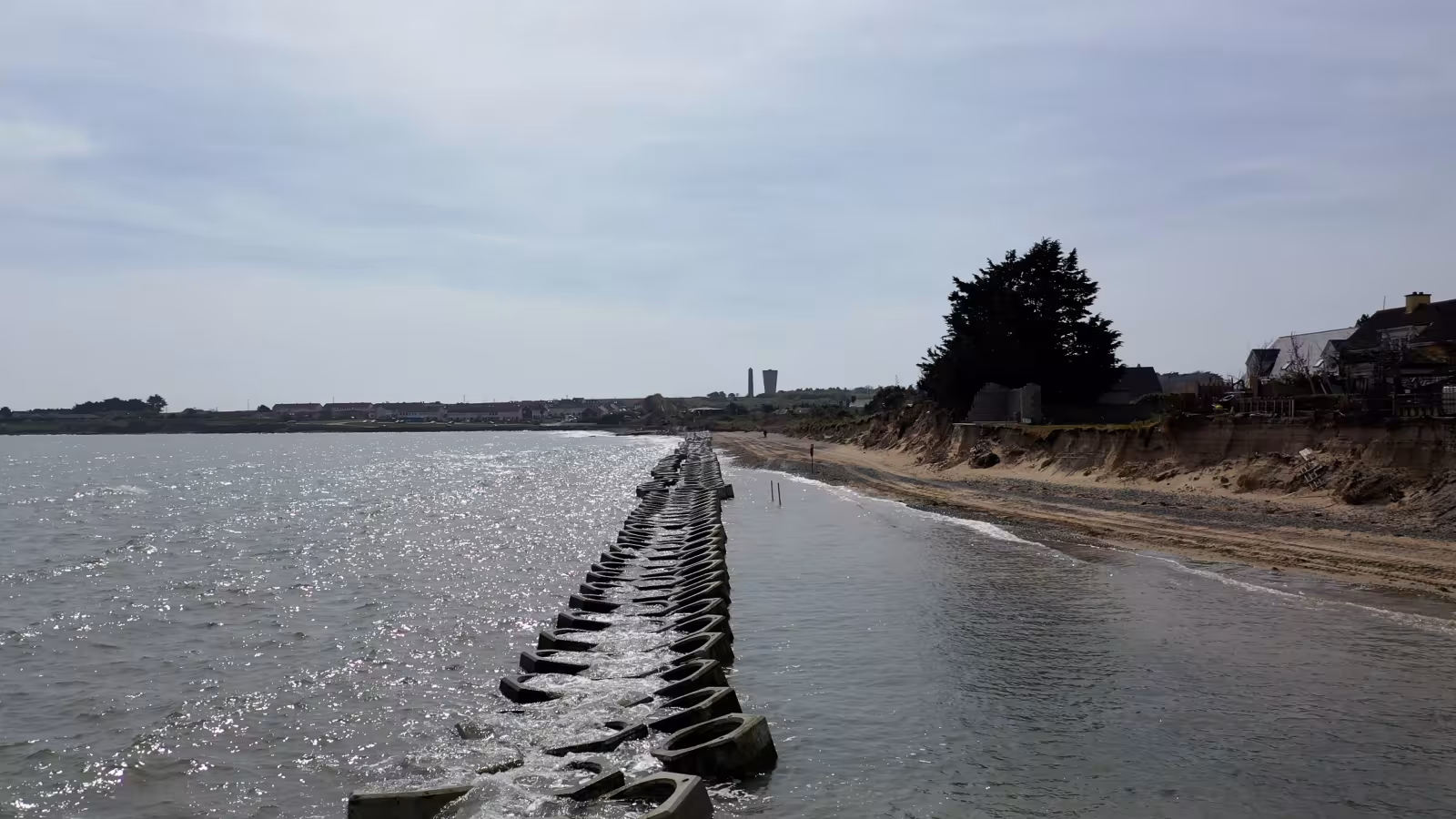 Seabees on Burrow Beach, Portrane